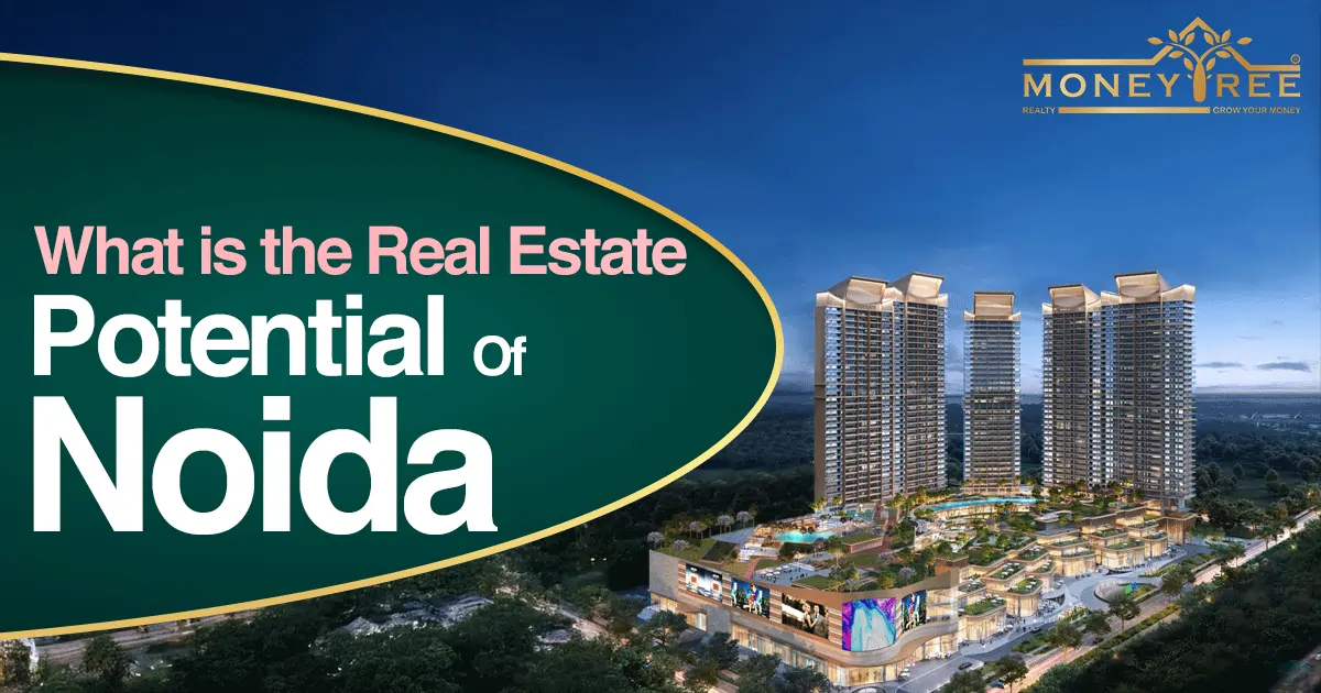 What is the Real Estate Potential Of Noida?