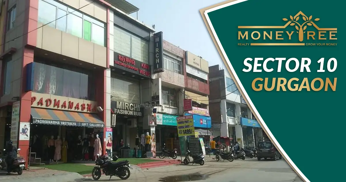 Sector 10 Gurgaon | Moneytree Realty