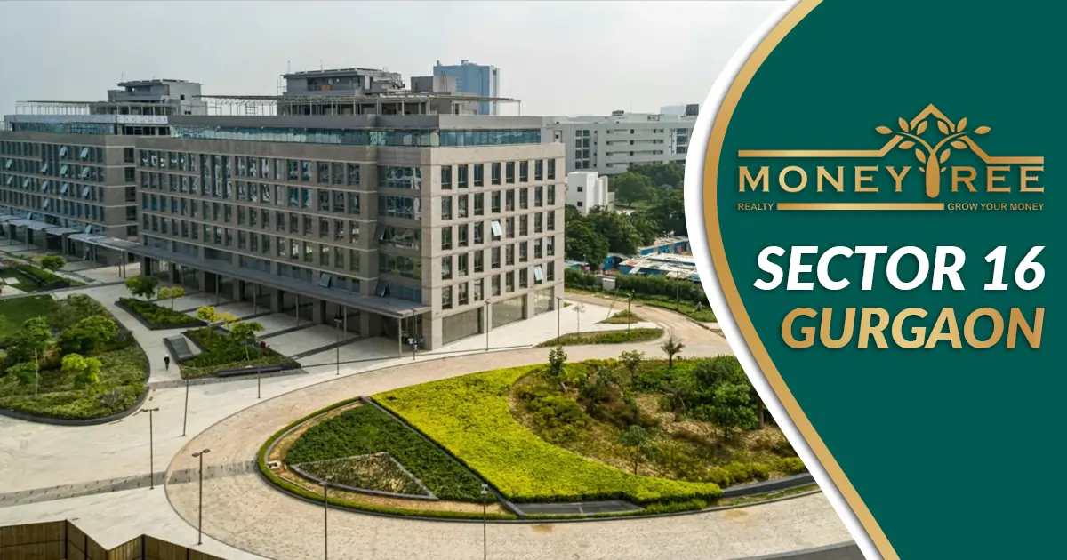 Sector 16 Gurgaon | Moneytree Realty