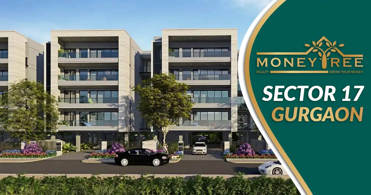 Sector 17 Gurgaon | Moneytree Realty