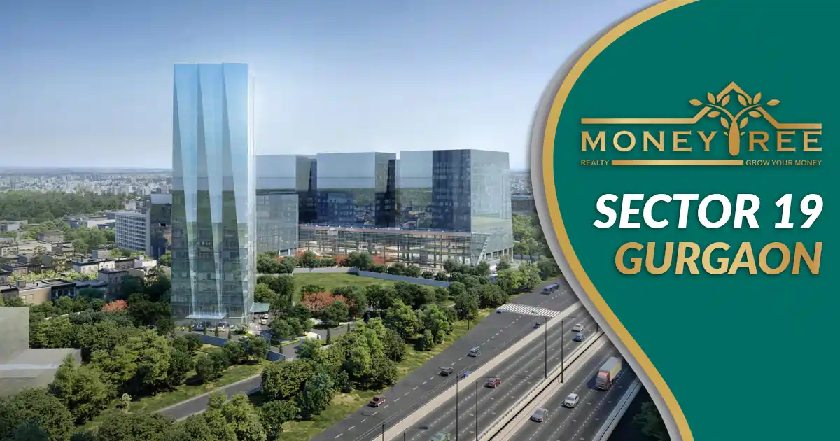 Sector 19 Gurgaon | Moneytree Realty