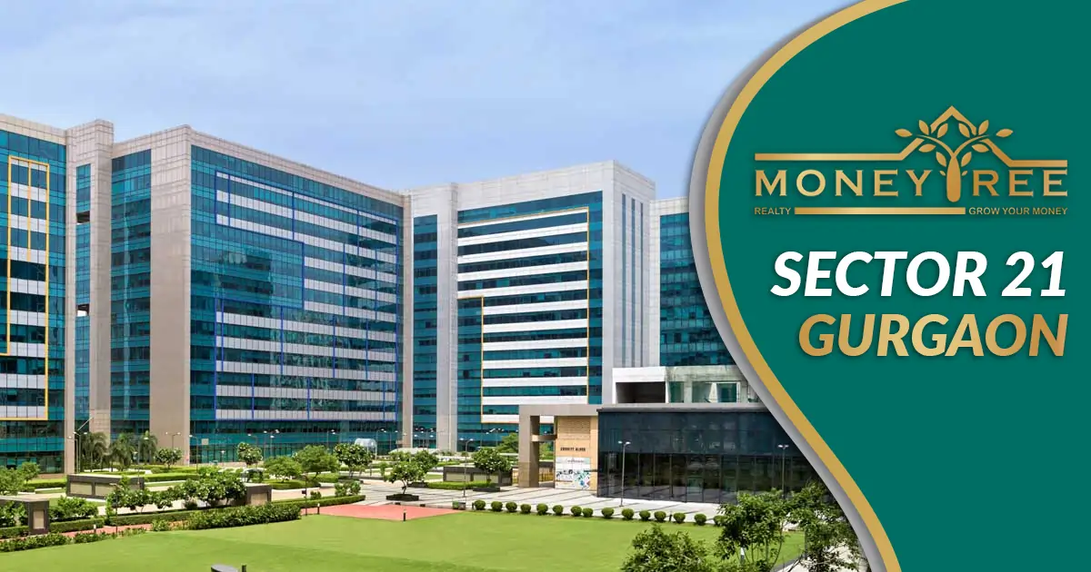 Sector 21 Gurgaon | Moneytree Realty