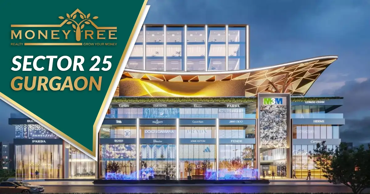 Sector 25 Gurgaon | Moneytree Realty