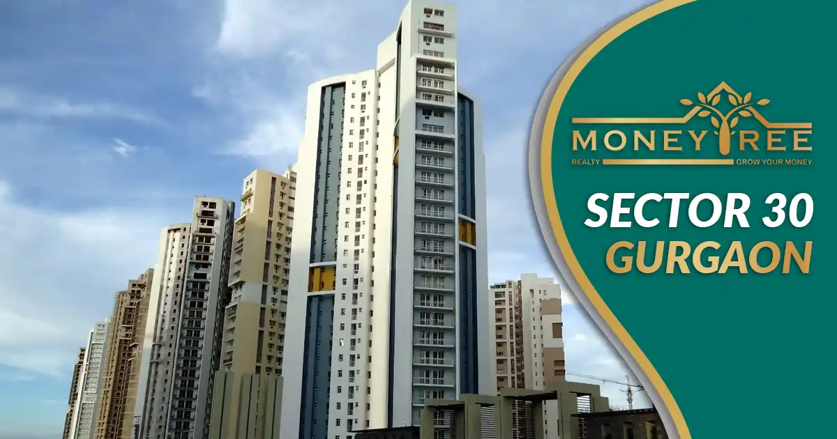 Sector 30 Gurgaon | Moneytree Realty