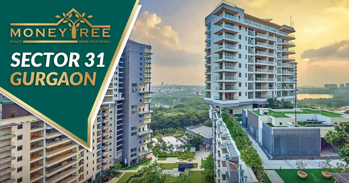 Sector 31 Gurgaon | Moneytree Realty