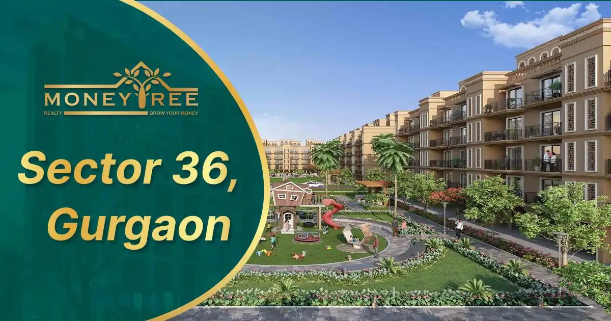 Sector 36 Gurgaon | Moneytree Realty