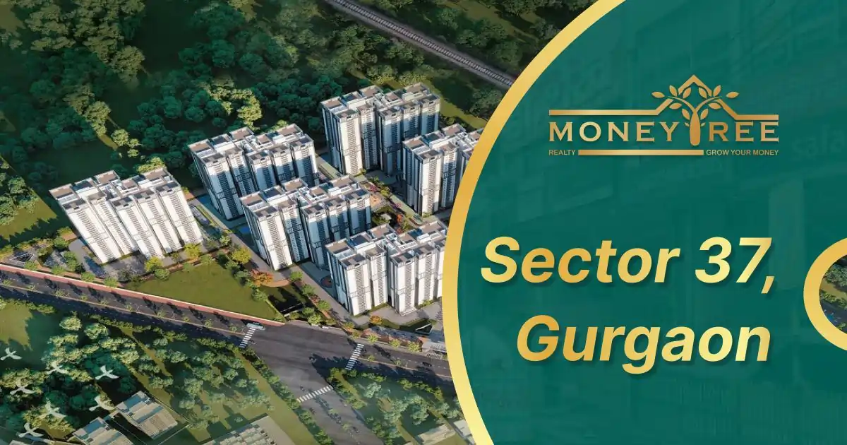 Sector 37 Gurgaon | Moneytree Realty