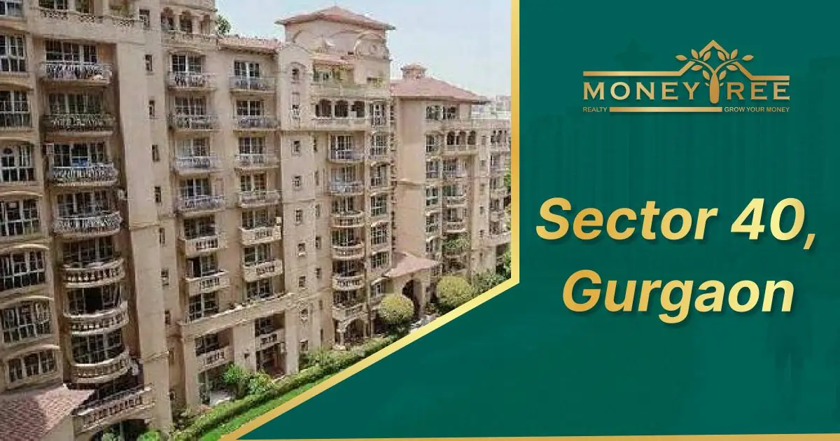 Sector 40 Gurgaon | Moneytree Realty