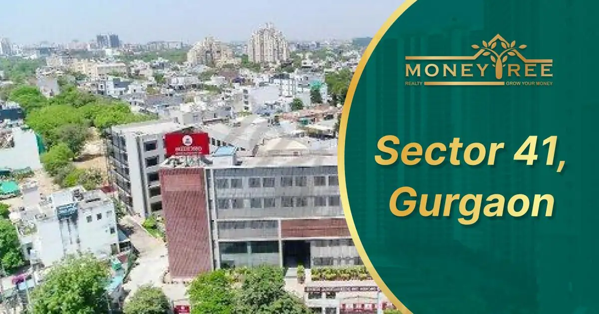 Sector 41 Gurgaon | Moneytree Realty