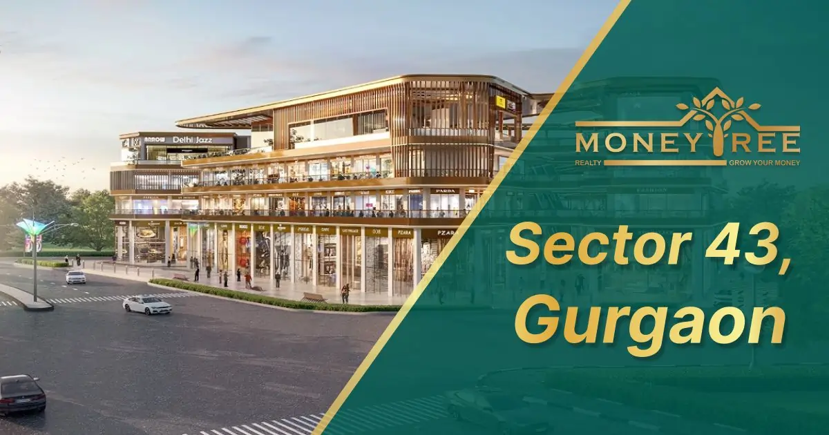 Sector 43 Gurgaon | Moneytree Realty