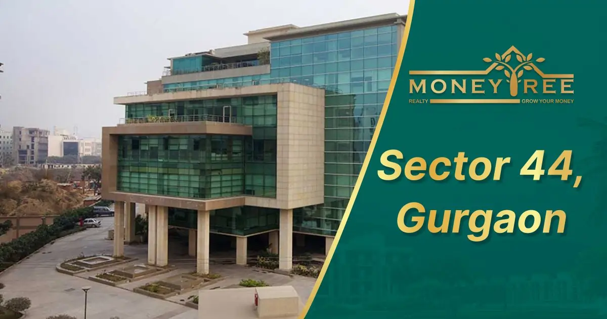 Sector 44 Gurgaon | Moneytree Realty