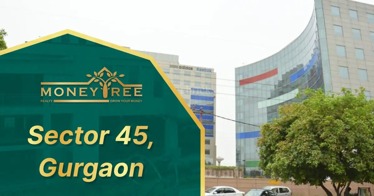 Sector 45 Gurgaon | Moneytree Realty