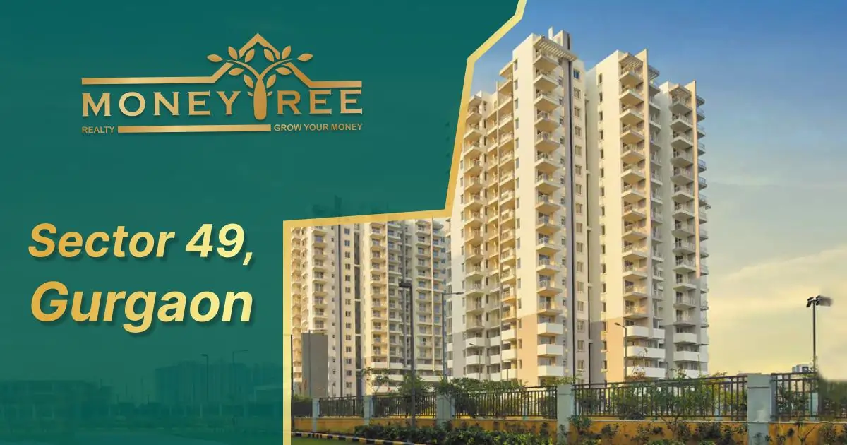 Sector 49 Gurgaon | Moneytree Realty