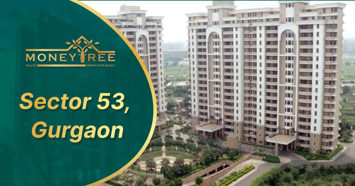 Sector 53 Gurgaon | Moneytree Realty