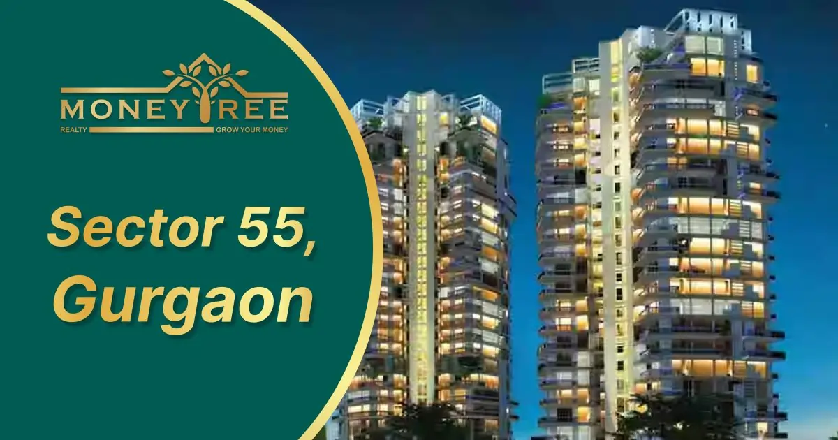 Sector 55 Gurgaon | Moneytree Realty