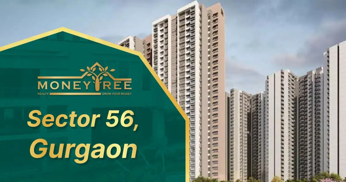 Sector 56 Gurgaon | Moneytree Realty