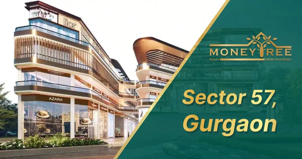 Sector 57 Gurgaon | Moneytree Realty