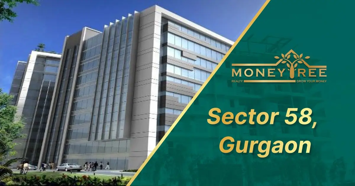 Sector 58 Gurgaon | Moneytree Realty