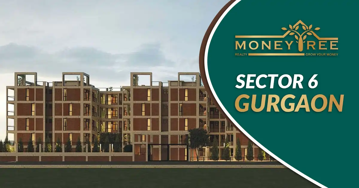 Sector 6 Gurgaon | Moneytree Realty