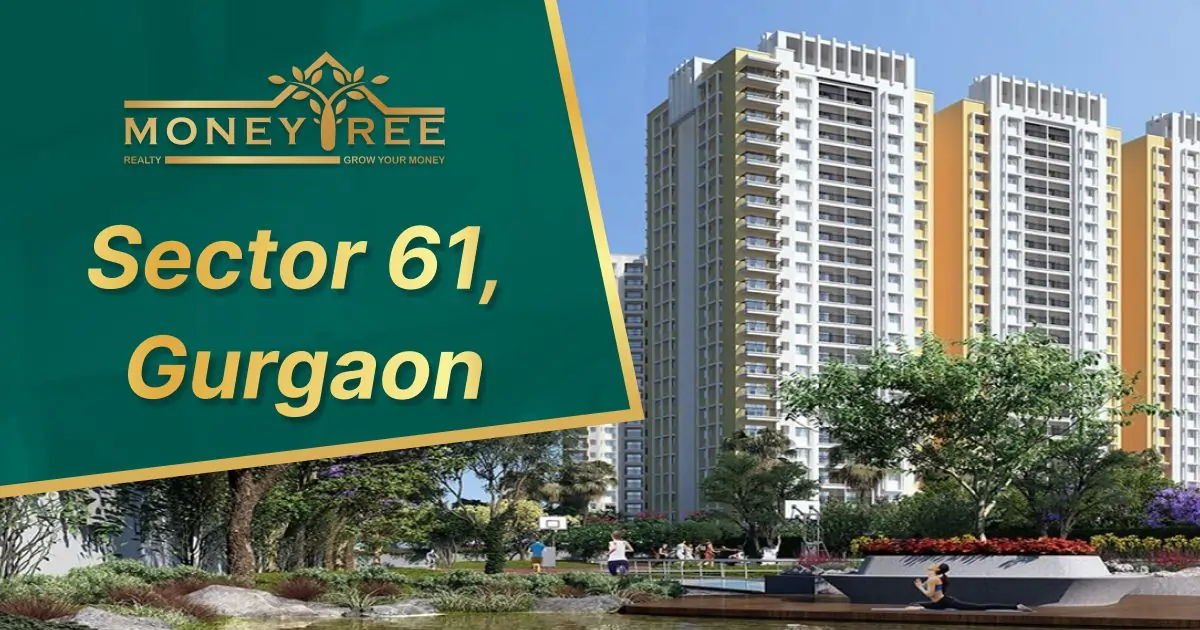 Sector 61 Gurgaon | Moneytree Realty