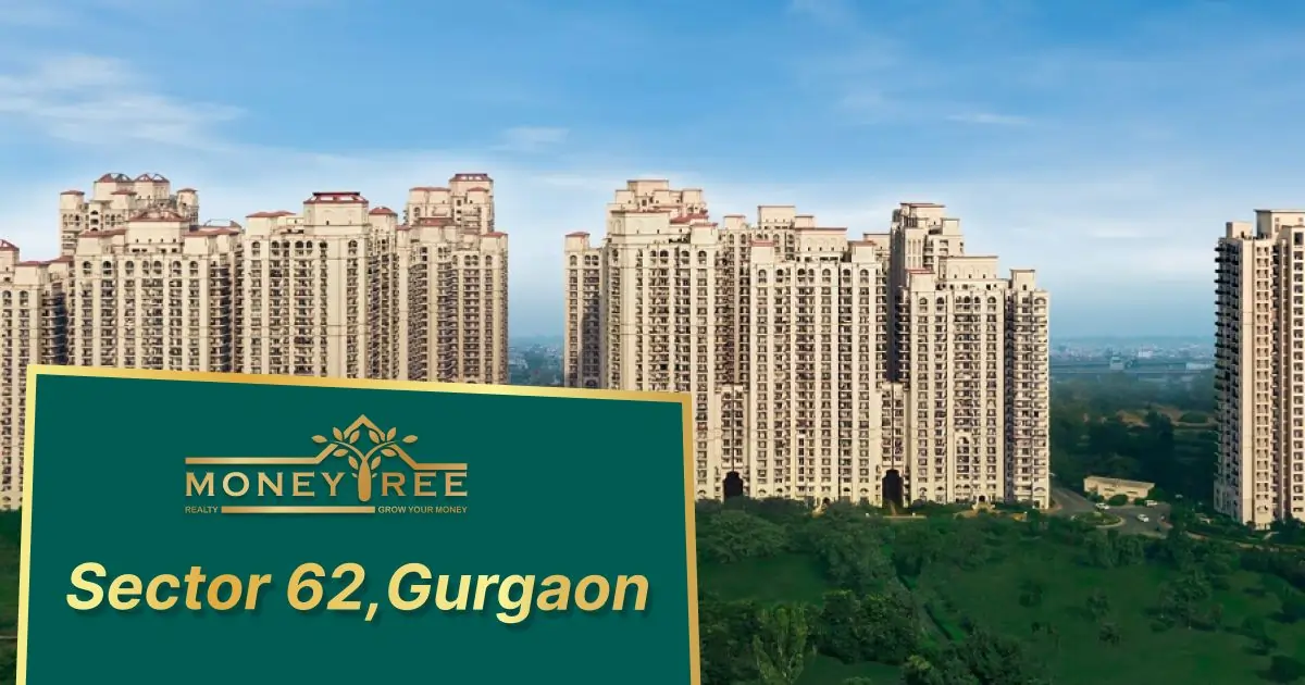 Sector 62 Gurgaon | Moneytree Realty