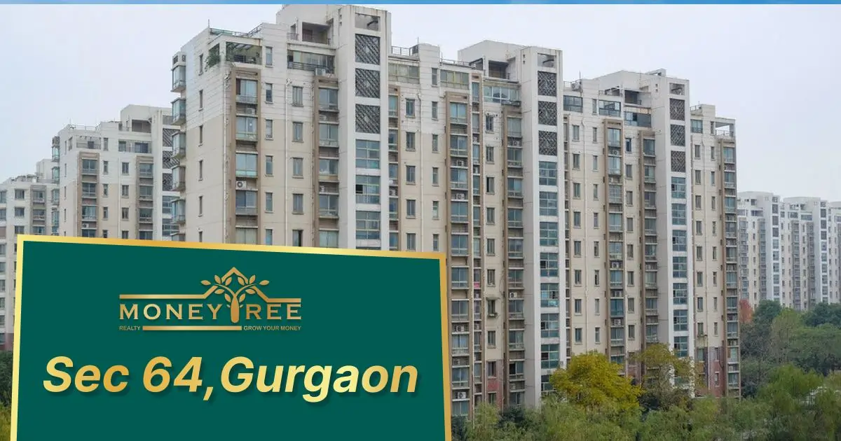 Sector 64 Gurgaon | Moneytree Realty