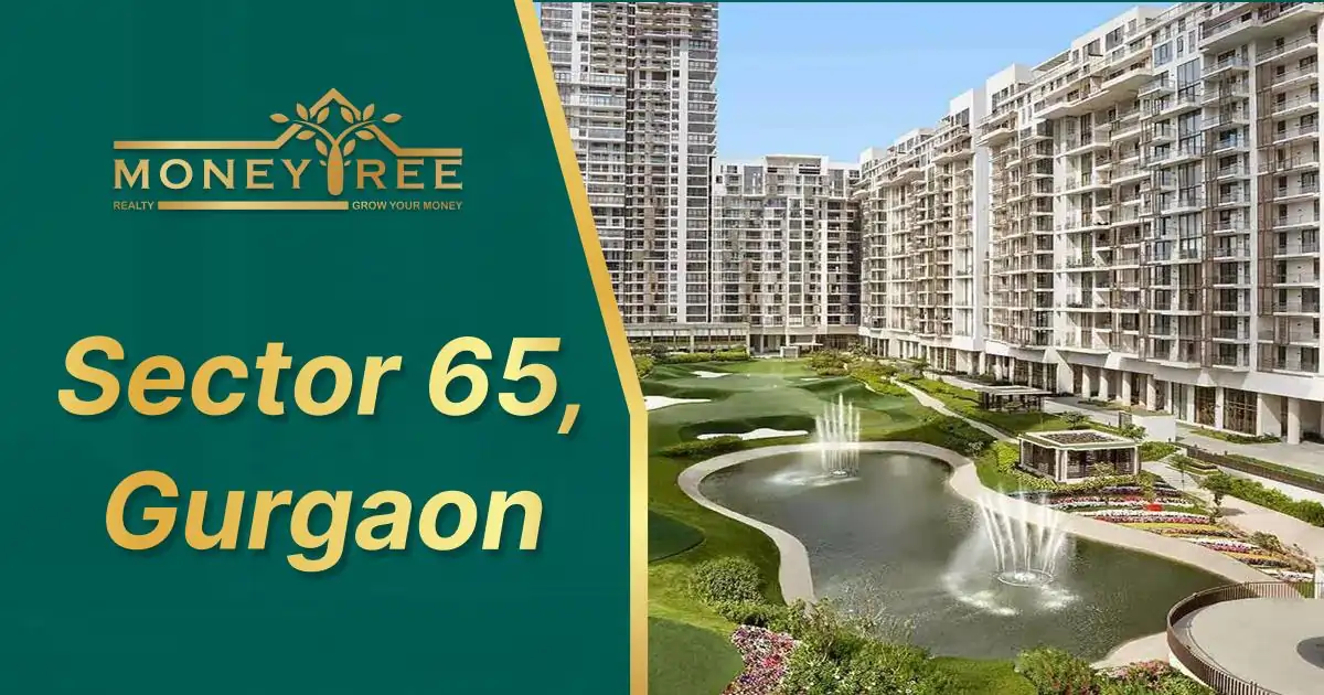 Sector 65 Gurgaon | Moneytree Realty