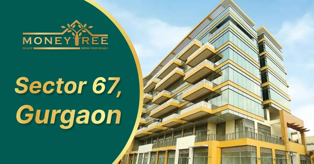 Sector 67 Gurgaon | Moneytree Realty