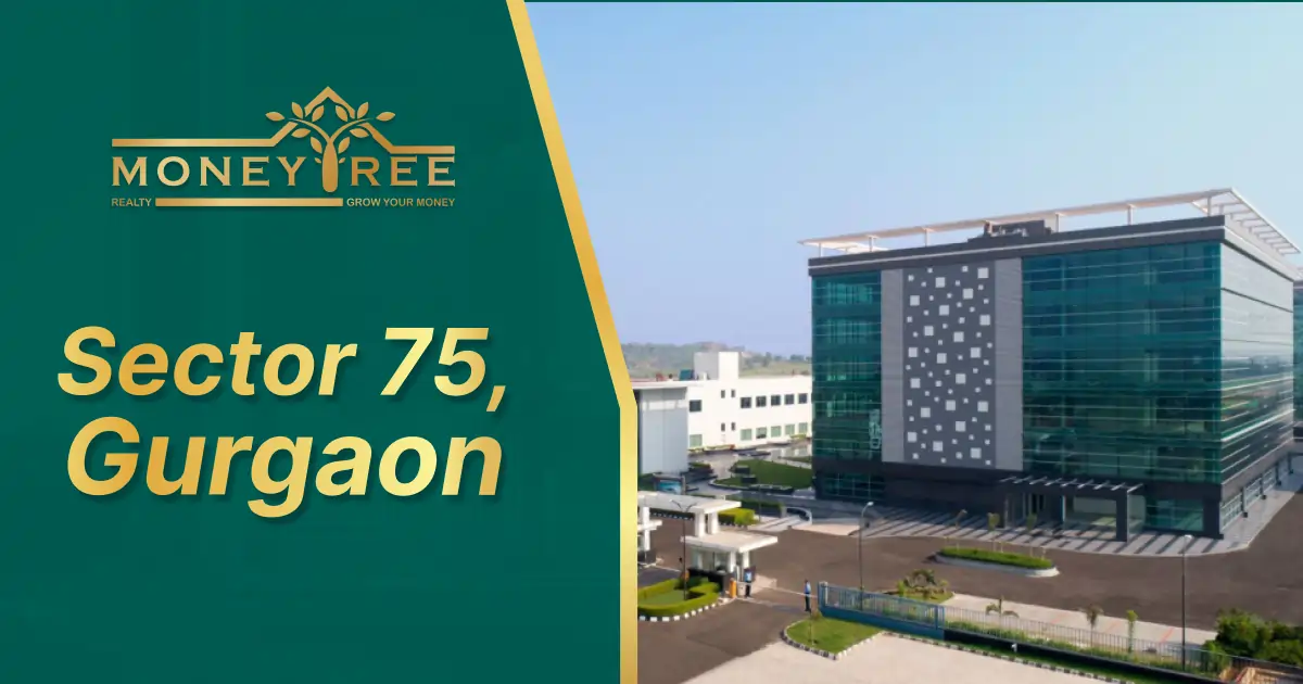 Sector 75 Gurgaon | Moneytree Realty