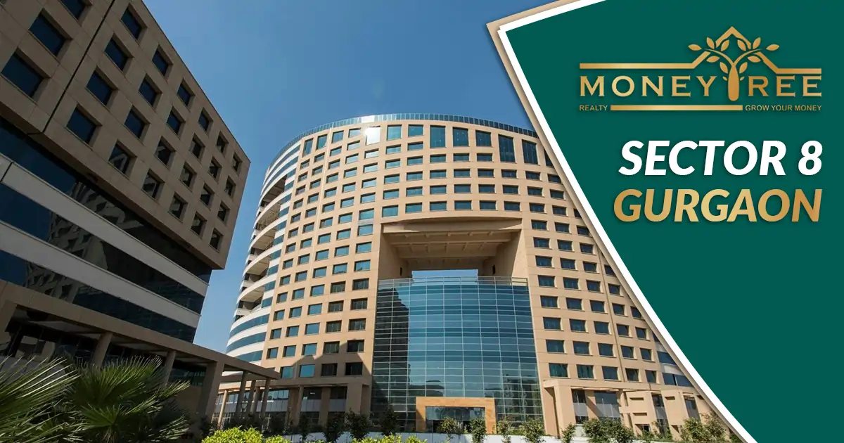 Sector 8 Gurgaon | Moneytree Realty