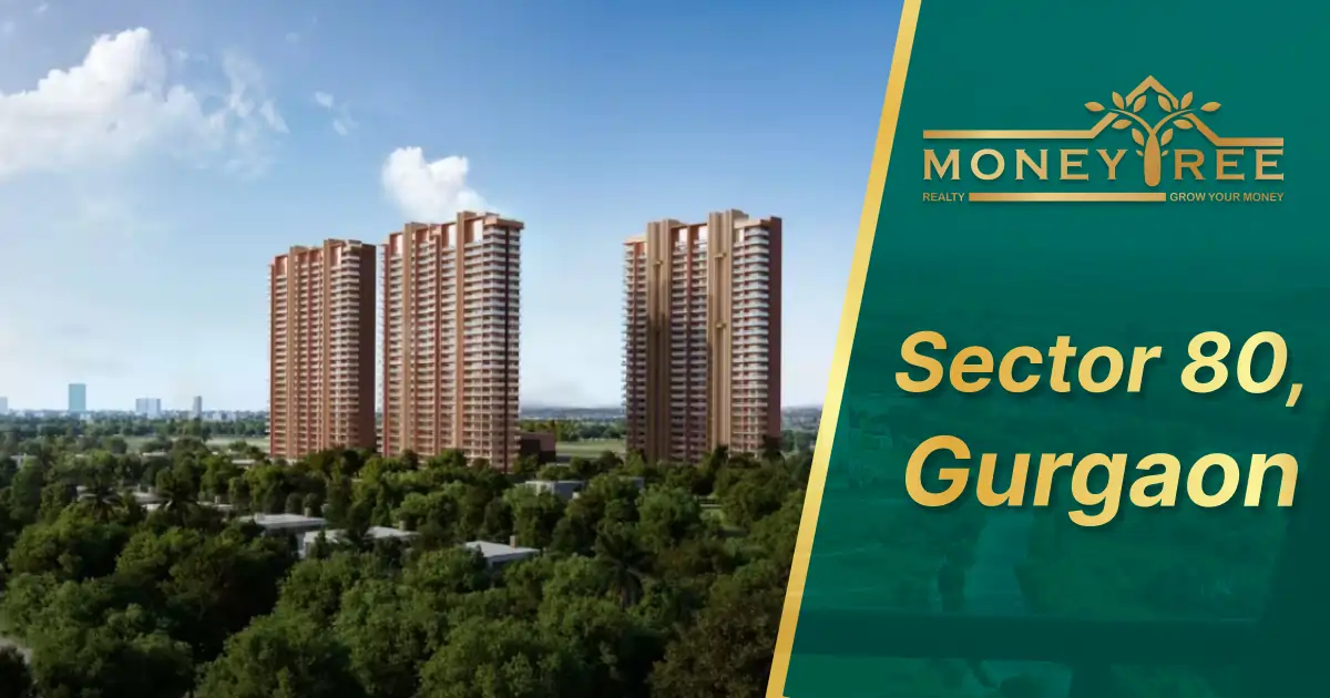 Sector 80 Gurgaon | Moneytree Realty