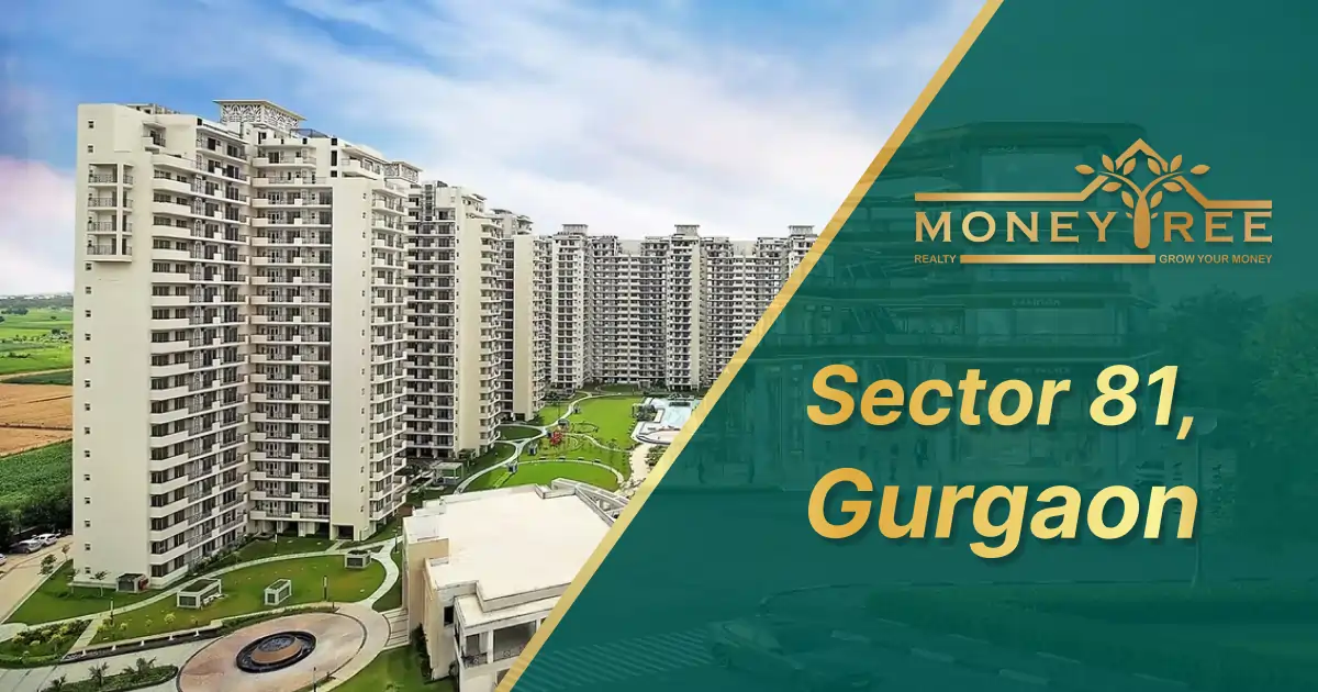 Sector 81 Gurgaon | Moneytree Realty