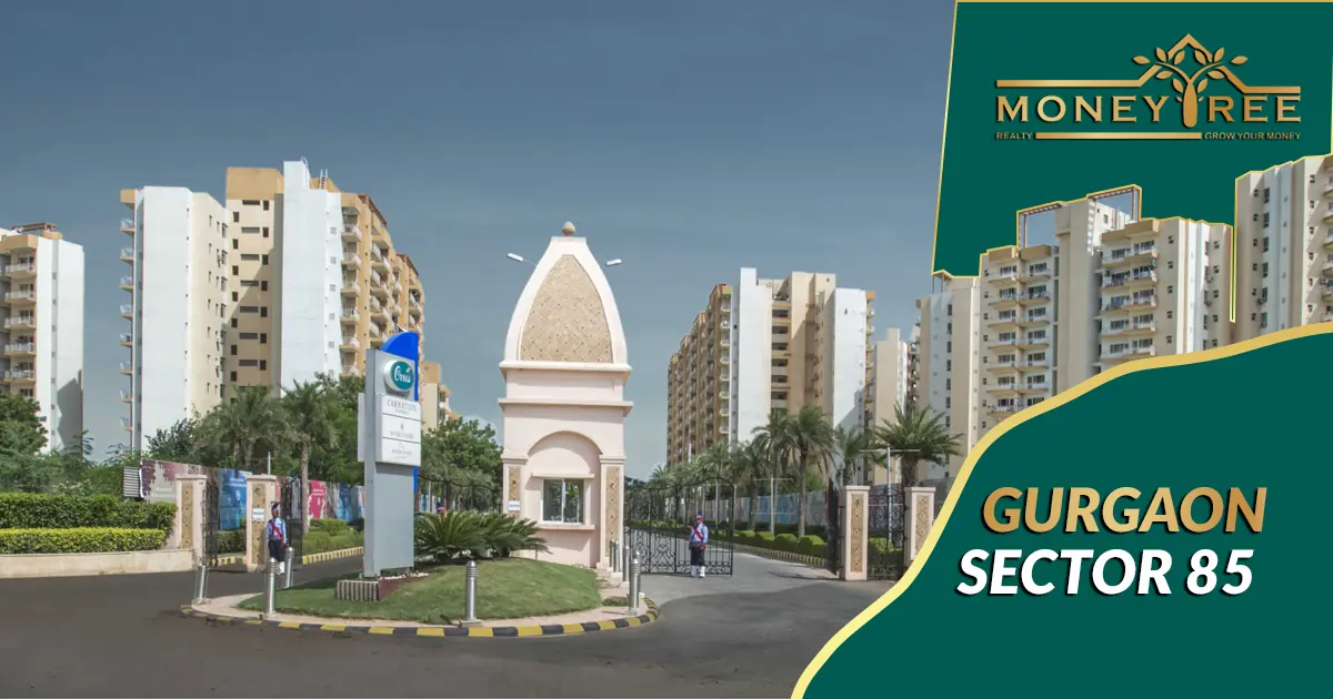 Sector 85 Gurgaon | Moneytree Realty