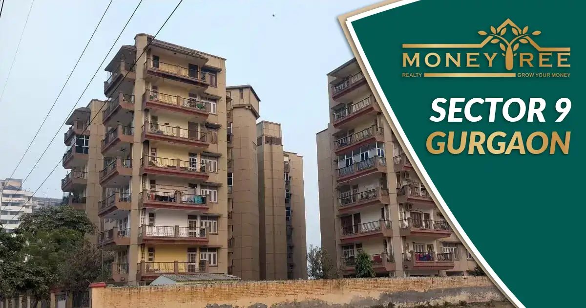 Sector 9 Gurgaon | Moneytree Realty