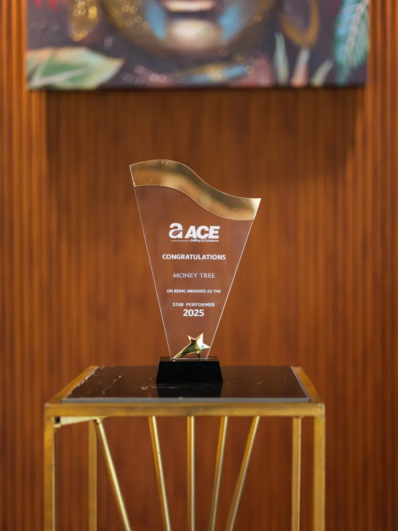 Excellence Award - ACE Group