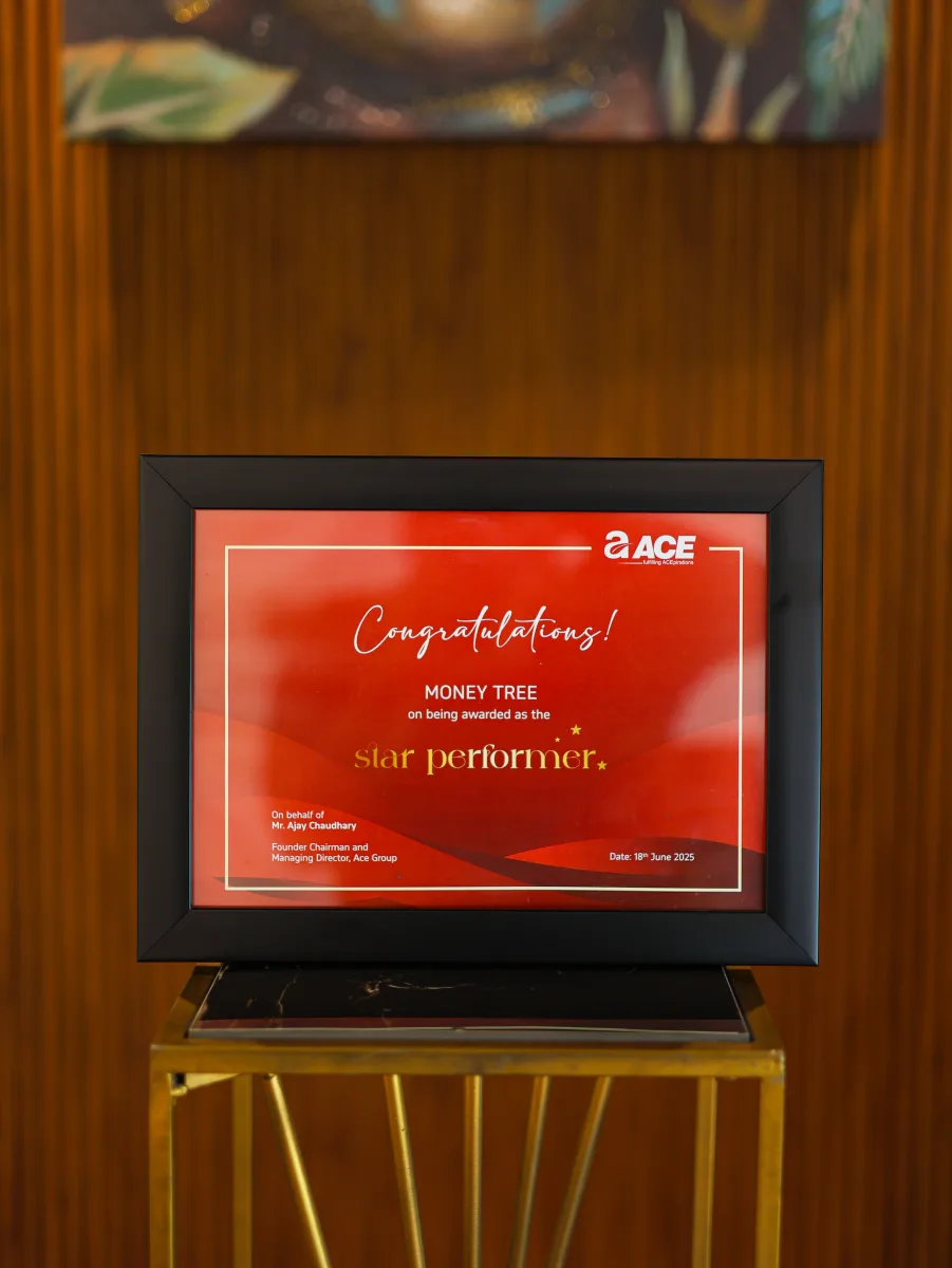 Star Performer Plaque - ACE Group