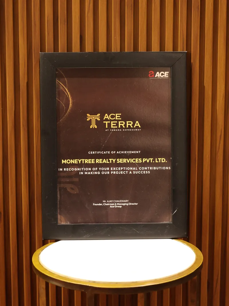 Top Performer - ACE Group