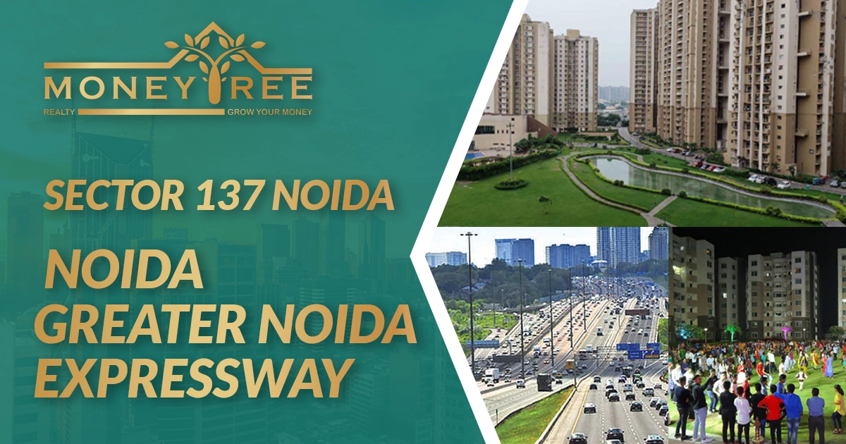 Sector 137 Noida | Noida-Greater Noida Expressway
