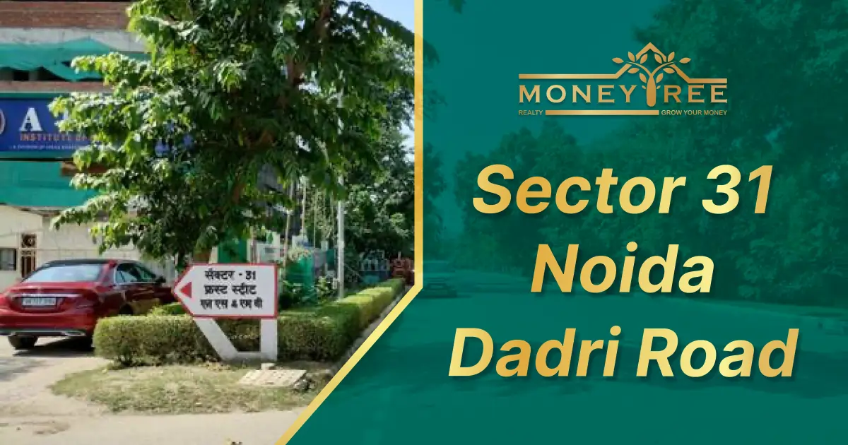 Sector 31 Noida | Dadri Greater Noida Road