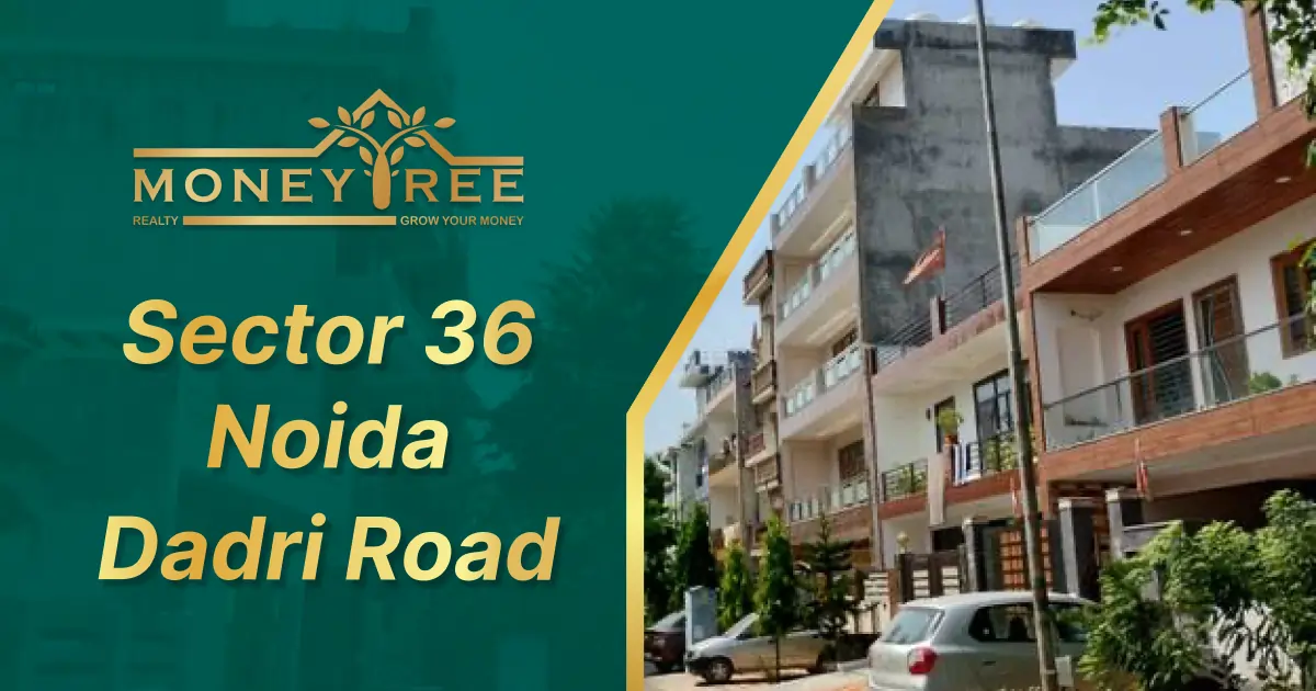 Sector 36 Noida | Dadri Road