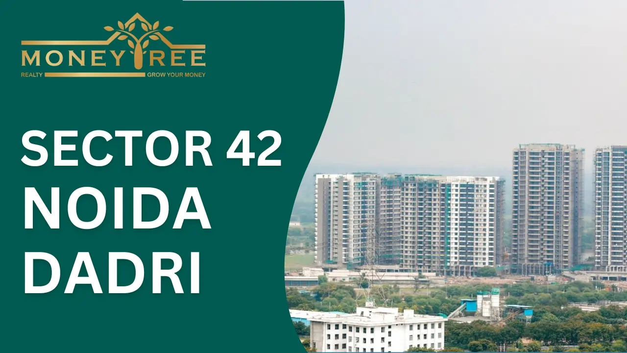 Sector 42 Noida | Dadri Greater Noida Expressway