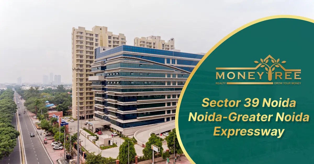 Sector 39 Noida | Noida-Greater Noida Expressway