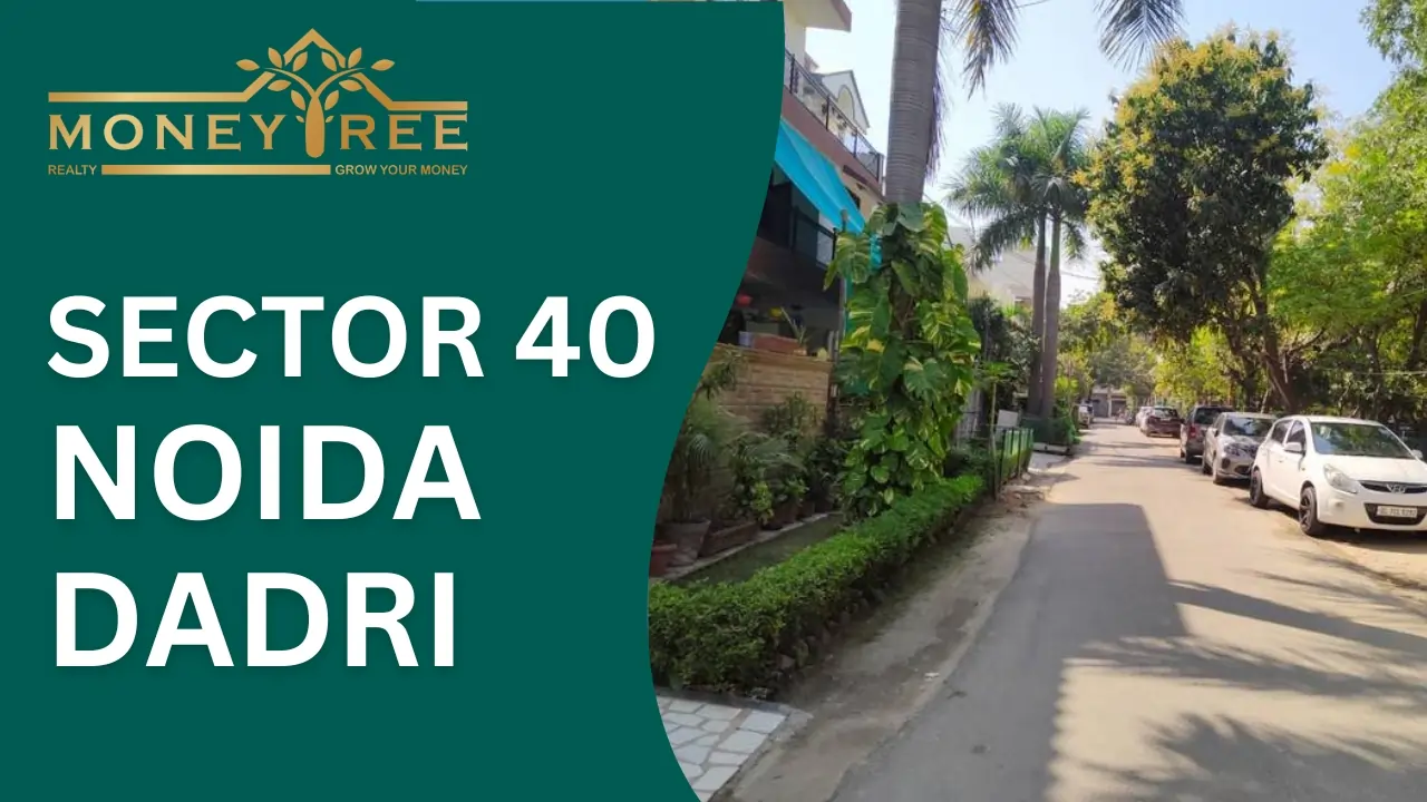 Sector 40 Noida | Dadri Greater Noida Expressway