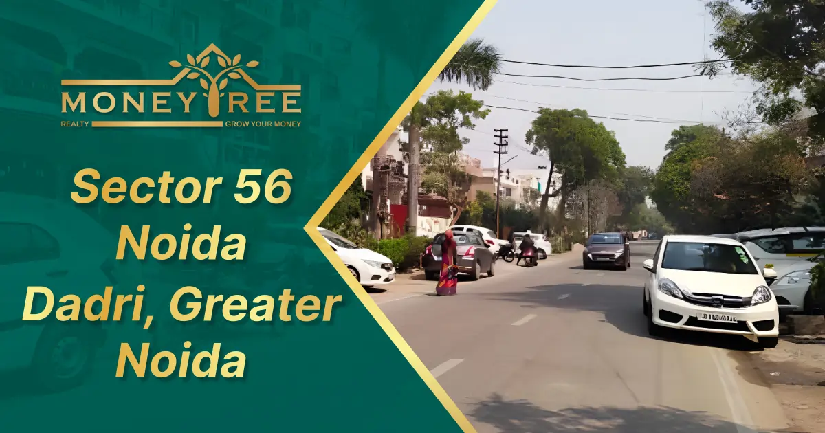 Sector 56 Noida, Dadri, Greater Noida