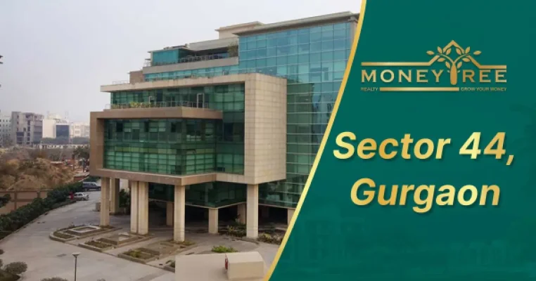 Sector 44 Gurgaon | Moneytree Realty