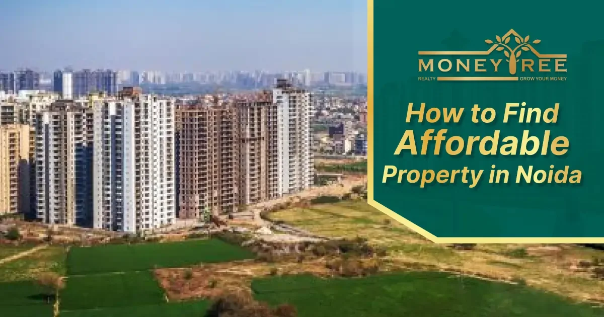 How to Find Affordable Property in Noida | Flats for Sale in Noida