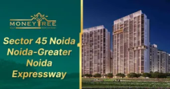 Sector 45 Noida | Noida-Greater Noida Expressway