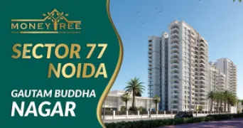 Sector 77 Noida | Gautam Buddha Nagar