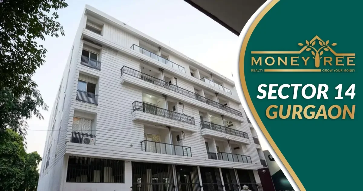 Sector 14 Gurgaon | Moneytree Realty - Real Estate in Gurgaon