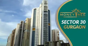 Sector 30 Gurgaon | Moneytree Realty